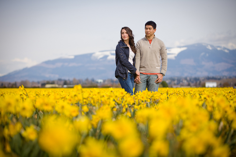 tulip festival seattle wa engagement session