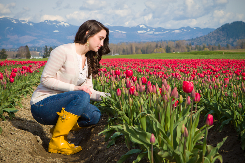 tulip festival seattle wa engagement session