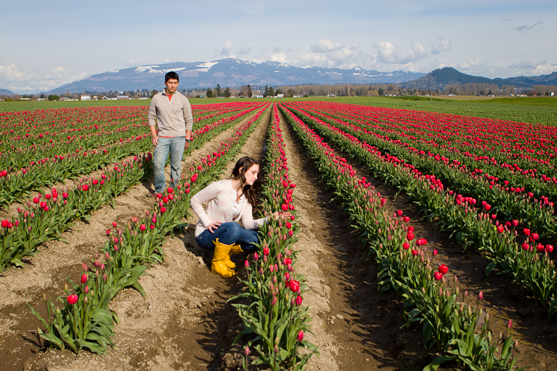 tulip festival seattle wa engagement session