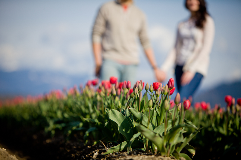 tulip festival seattle wa engagement session