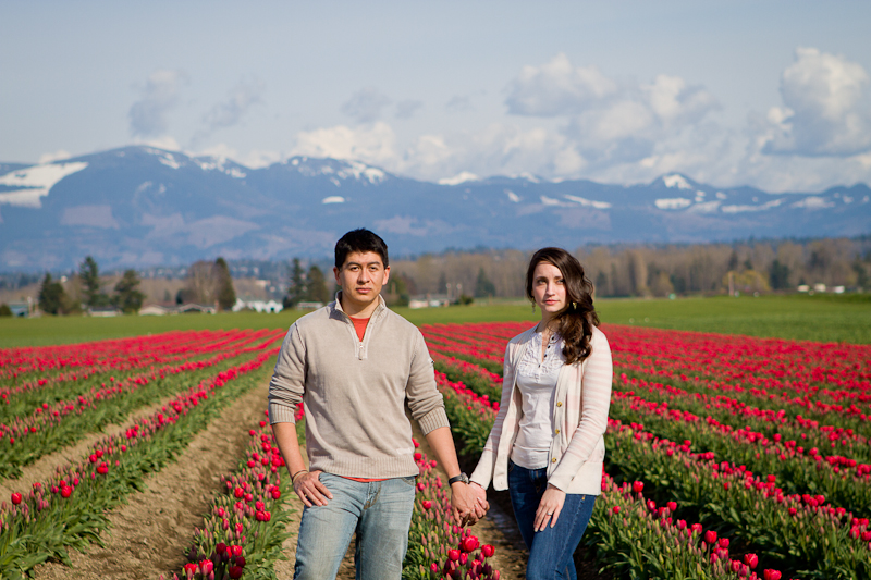 tulip festival seattle wa engagement session