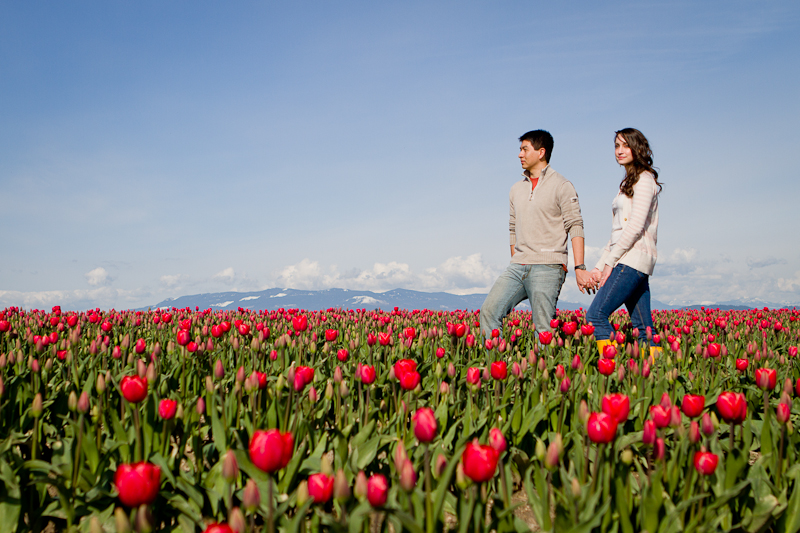 tulip festival seattle wa engagement session