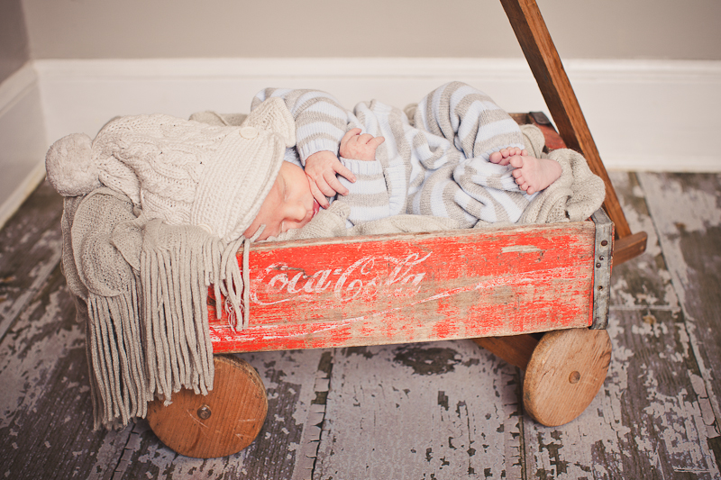 branford ct newborn and kids photos