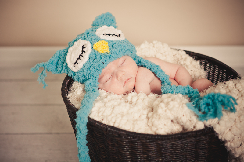 branford ct newborn and kids photos