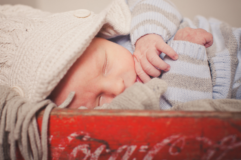 branford ct newborn and kids photos