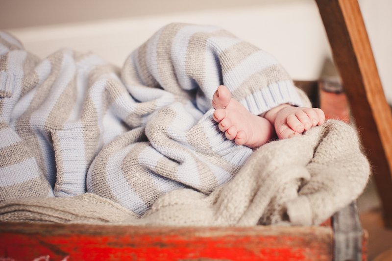 branford ct newborn and kids photos