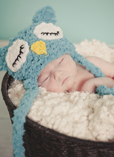 branford ct newborn and kids photos