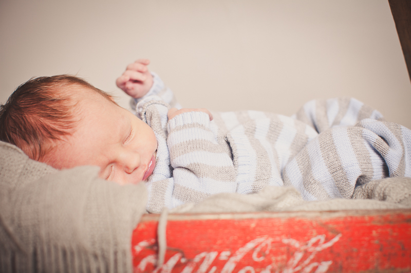 branford ct newborn and kids photos