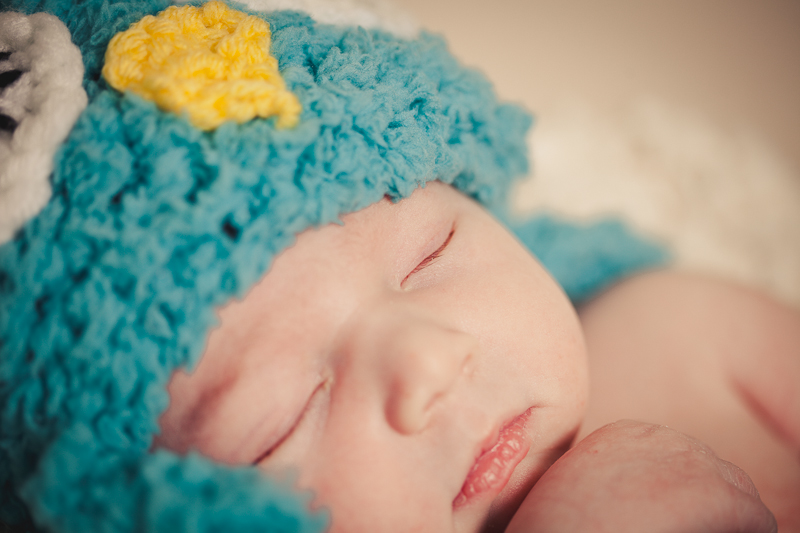 branford ct newborn and kids photos