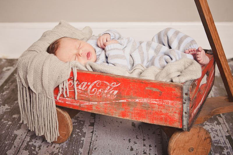 branford ct newborn and kids photos