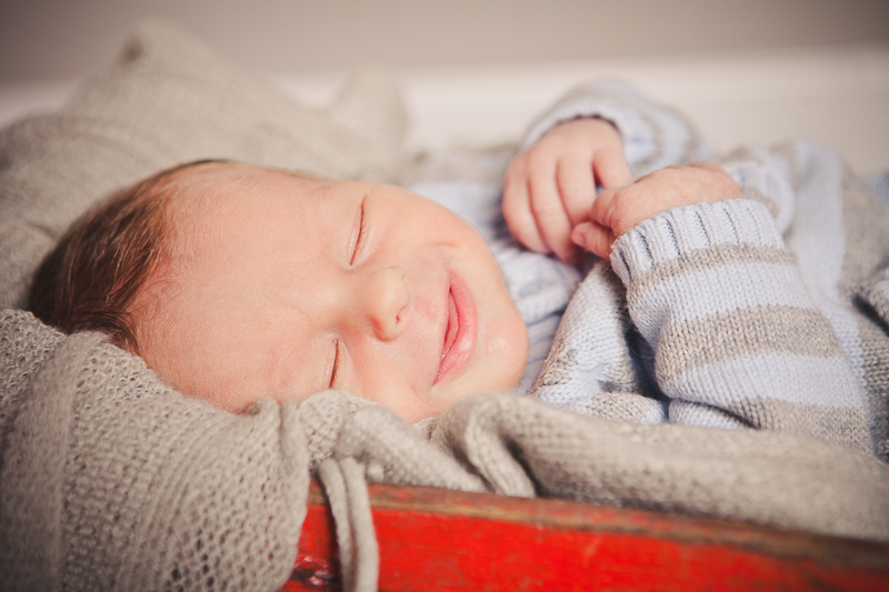 branford ct newborn and kids photos