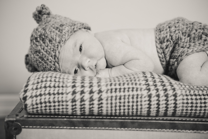 branford ct newborn and kids photos