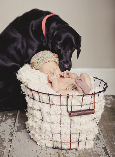 branford ct newborn and kids photos