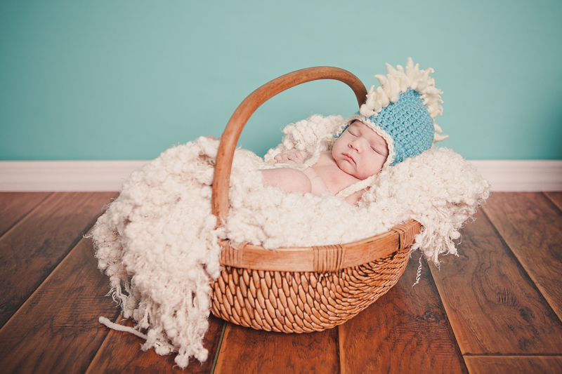 branford ct newborn and kids photos