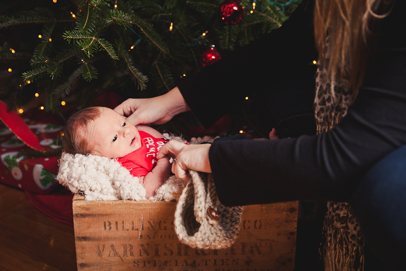 branford ct newborn and kids photos