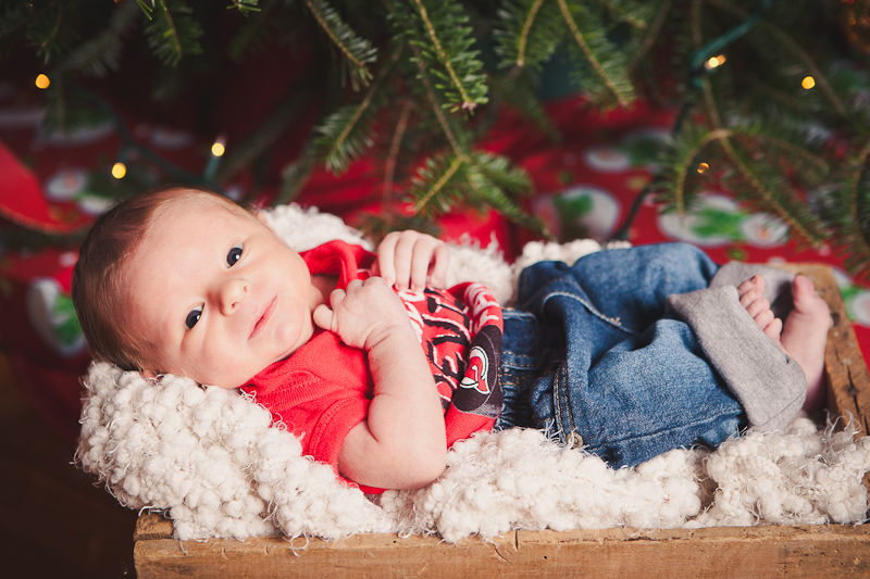 branford ct newborn and kids photos
