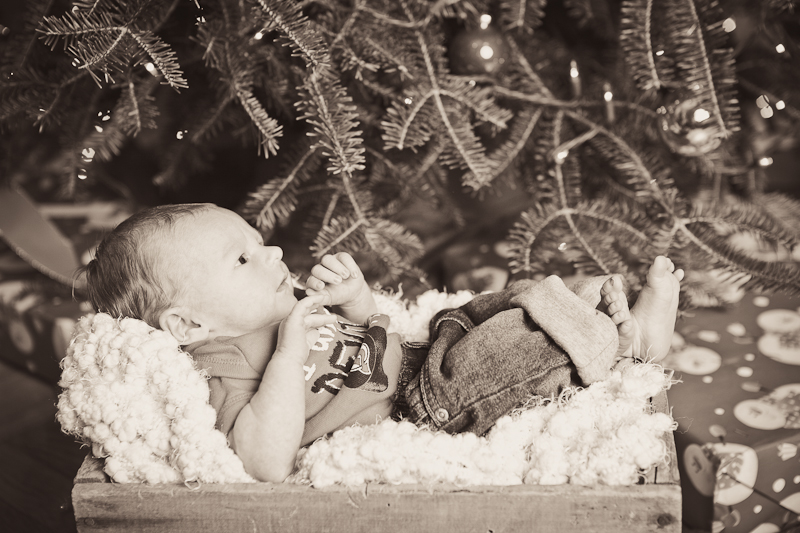 branford ct newborn and kids photos