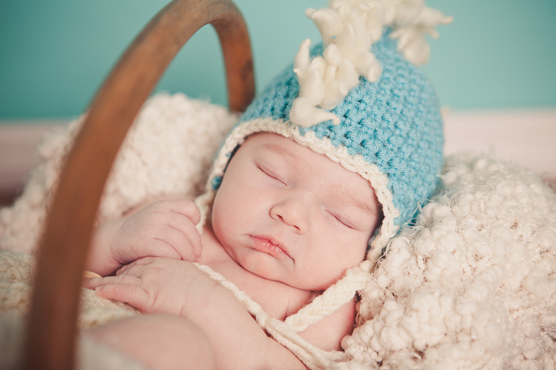 branford ct newborn and kids photos