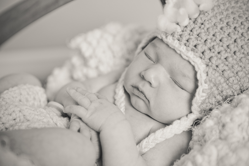 branford ct newborn and kids photos