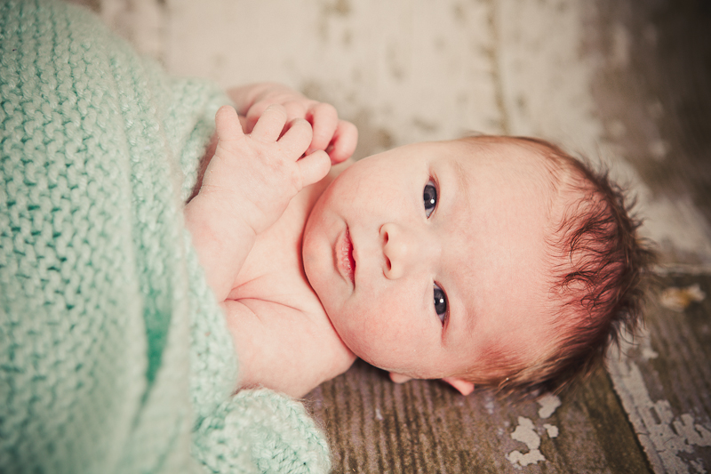 branford ct newborn and kids photos