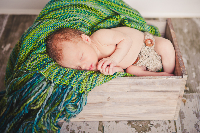 branford ct newborn and kids photos