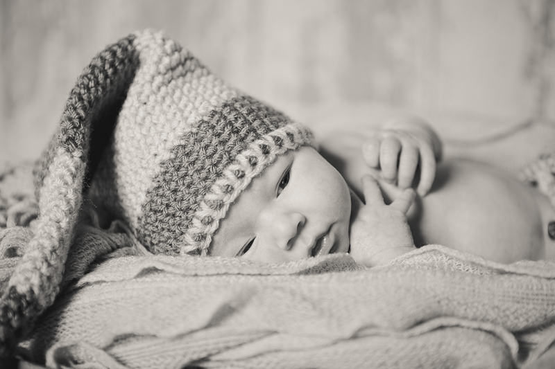 branford ct newborn and kids photos